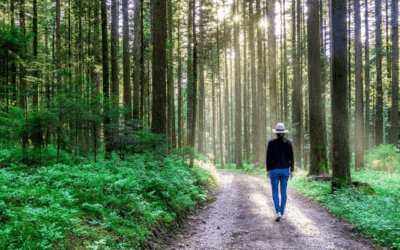 ¿Qué hace un educador ambiental?