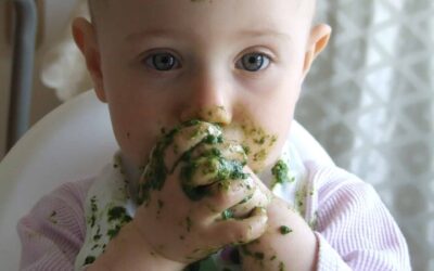 Baby Led Weaning: ¿cómo y cuando empezar?