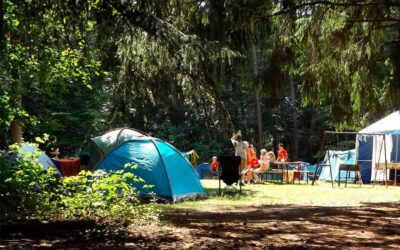 Campamentos para niños: cómo elegir el mejor