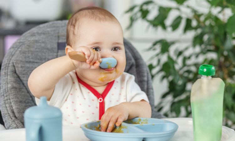 Dieta y prevención nutricional: claves para una vida más saludable